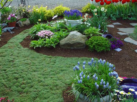 Ground Cover Alternatives To Grass For Shade Ground Cover Crossword