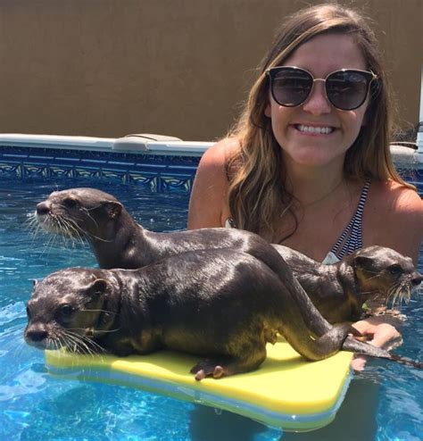 Animal Preserve Allows People To Swim With Adorable Tiny Otters