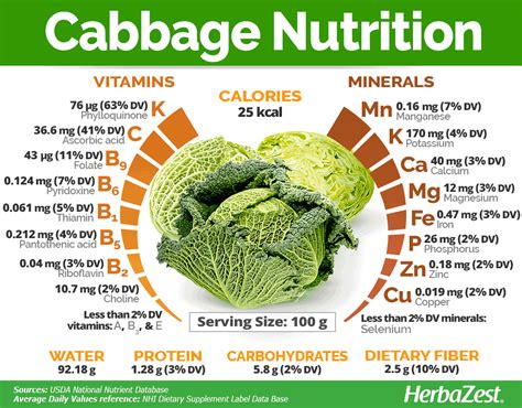 10 Proven Health Benefits Of Cabbage Page 8