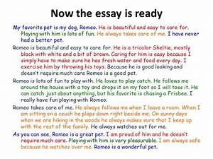essay of pet dog