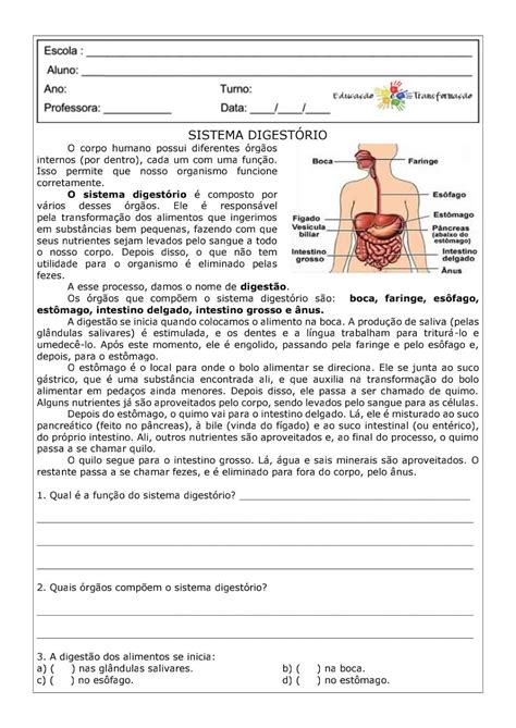 Exercicios De Sistema Digestório