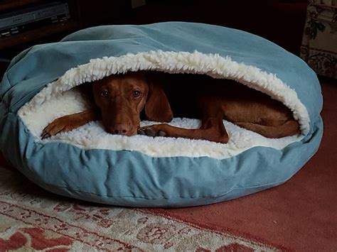 Snoozer Luxury Cozy Cave Dog Bed, luxury cosy dog den | Mad About A Dog