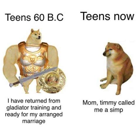 35 Of The Best Swole Doge And Cheems Memes We Had Time To Find Nông