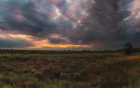 Summer Cloudy Sunset Awesome Cloudy Sunset Over The Steppe Flowers