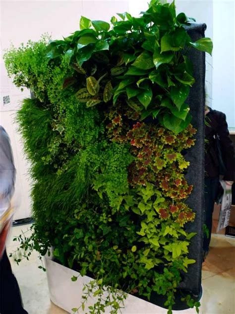 Greenworks Self Watering Living Wall System Vertical Garden Indoor Plant Wall Vertical Herb