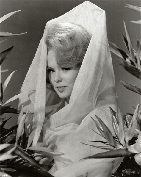 Fabulous Photos Of Joey Heatherton During The Filming Of Where Love Has Gone