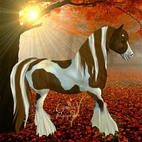 June 2, 2021 the umbra returns for a limited time of three weeks. starstable gimp | söndag 22 juni 2014 | Star stable ...