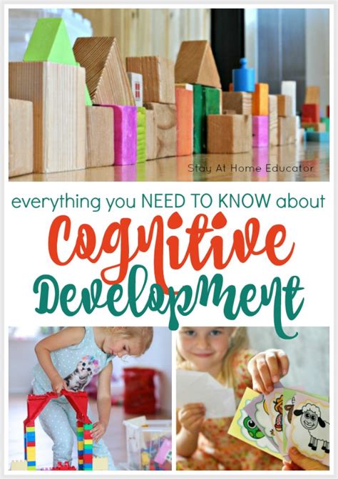 Preschool Developmental Skills And Support Activities Artofit