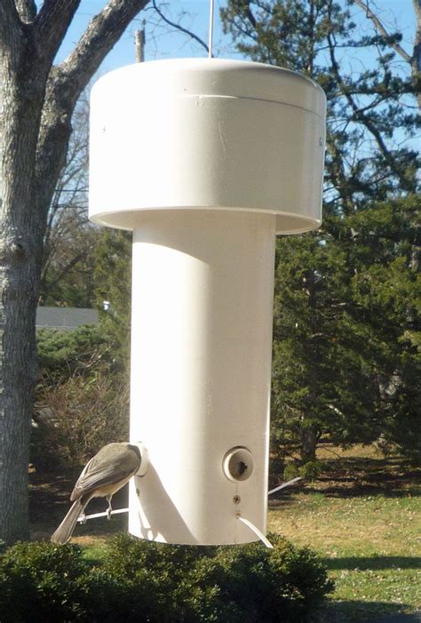 If you're a more diy type of person and want to. Grant MacLaren's Squirrel Proof Bird Feeder | Squirrel ...