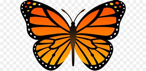 Almost files can be used for commercial. Butterfly Cartoon Clip art - Orange Butterfly Png Image ...