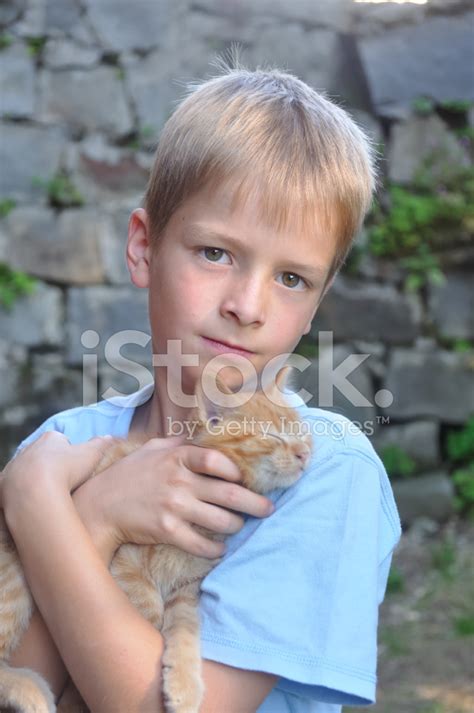 Boy With Cat Stock Photo Royalty Free Freeimages