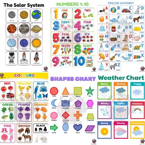 Educational Chart For Kids Laminated A4 Size Alphabet Numbers Body
