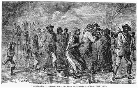 Fugitive Slaves Photograph By Granger