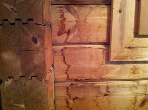Maybe you would like to learn more about one of these? wood - How can I remove brown coloring/stains from logs ...
