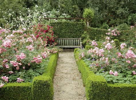 11 Essential Tips For Creating A Rose Garden English Garden Design