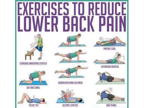 Back Pain Try These Exercises By Dr Jeff Langmaid Brandon Fl