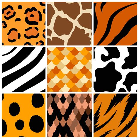 Set of seamless animal print pattern vectors - Download Free Vectors