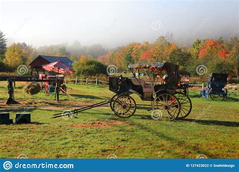 Antique Wagon Under Colorful Trees In Autumn Time Stock Photo Image