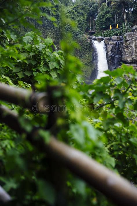 Amazing Tegenungan Waterfall Near Ubud In Bali Indonesia Stock Photo