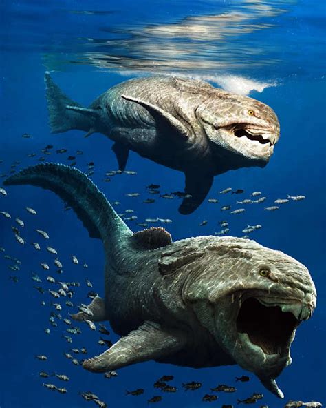 Dunkleosteus Your Guide To The Giant Armored Placoderm