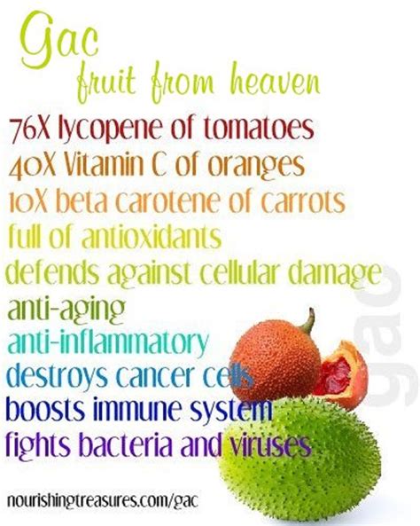 The New Superfood Kids On The Block Part 10 Gac Fruit The Gaia