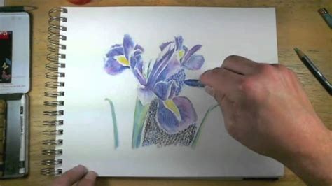 How To Draw With Watercolor Pencils Live Lesson Excerpts Youtube