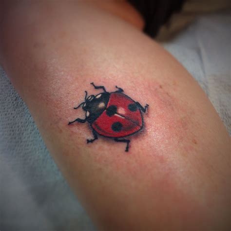 Ladybug Tattoo Cute Tattoos Small Tattoos Tatto Mini Lady Bug Tattoo