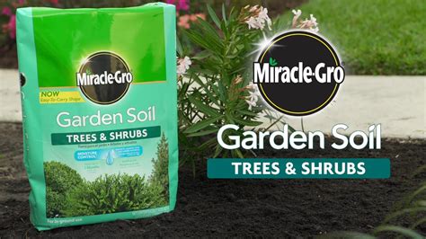 Also eventually the soil will become saturated with plant nutrients part of learning to garden is learning to listen to your plants. Miracle Gro How Often To Use | Cromalinsupport