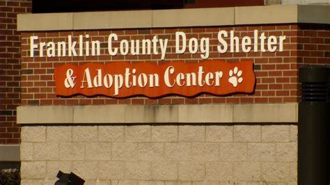 There are more options than you think. Franklin County Dog Shelter offers free spay and neuter ...