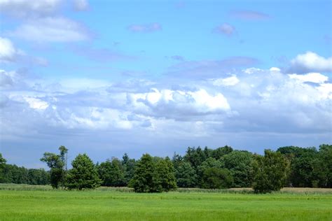 무료 이미지 경치 숲 잔디 수평선 구름 하늘 들 바닥 목초지 대초원 언덕 분위기 여름 녹색 목장