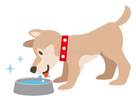 Dog Drinking Water Stock Illustrations 438 Dog Drinking Water Stock