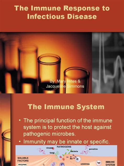Immune Response To Infectious Diseases3806 Pdf Innate Immune System