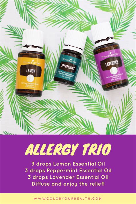 allergy relief blend for diffuser
