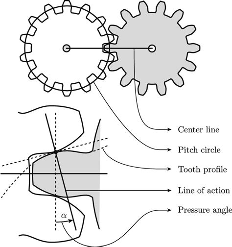 Anatomy Of A Gear The Interaction Between Gears Is Largely Determined