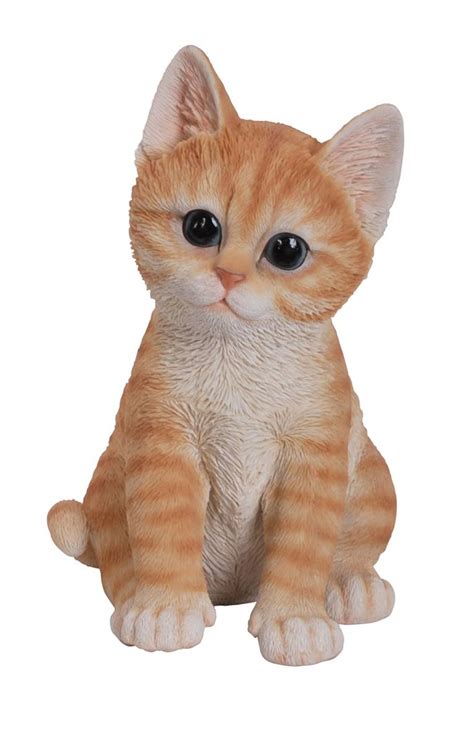 Browse 424 angry cat cartoon stock photos and images available,. Vivid Arts Pet Pal Cat Kitten Ginger