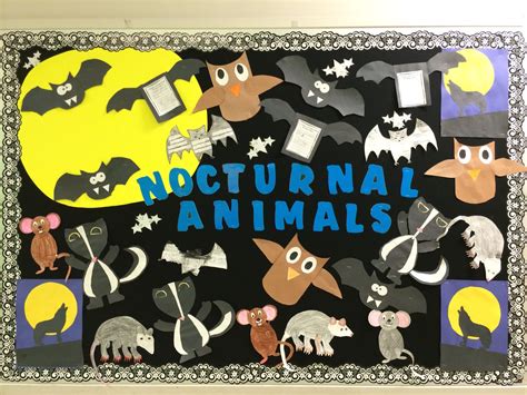Nocturnal Animal Craft For Kids
