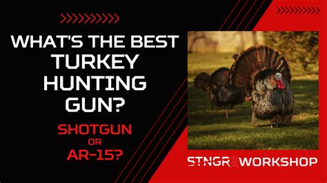 Whats The Best Turkey Hunting Gun A Shotgun Or An Ar 15 Stngr Usa