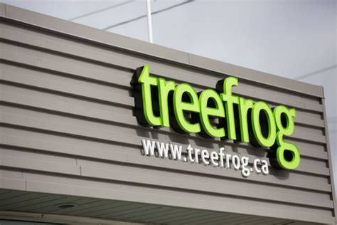 Treefrogs New Newmarket Offices Office Snapshots
