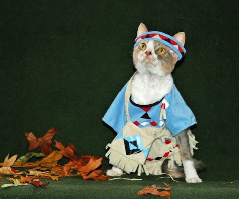 Native American Cat Costume For Thanksgiving Online Sales Guide Tips