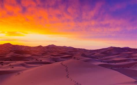 Wallpaper Sahara Desert Sand Dunes Wallpaper Full Hd Wide