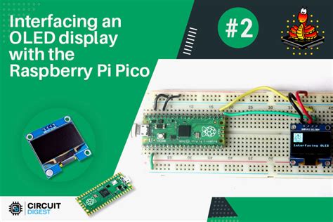 Подключение Oled дисплея Ssd1306 к Raspberry Pi Pico схема и программа