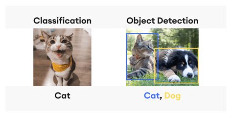 Why Using An Image Classification Api Might Be Practical For Your Job