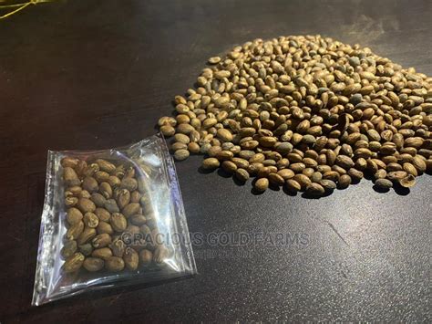 Miracle Seed Ghana Seed On Promo In Kuje Vitamins And Supplements