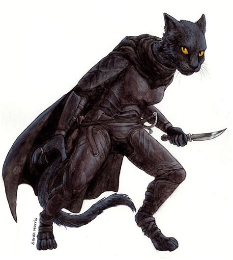 Dndpathfinder Art Nasla By Koeskull Fantasy Character Design Cat