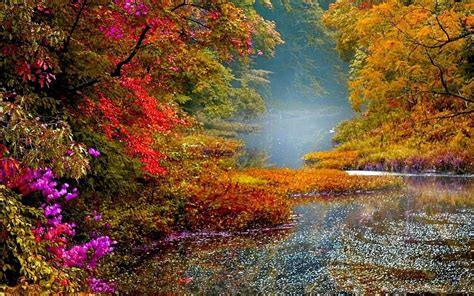 1920x1080px 1080p Free Download Autumn River River Landscape
