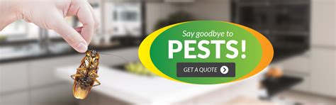 The official worlds for pest control are worlds 53, 69 (p2p). Wallaby Pest Control & Carpet Cleaning