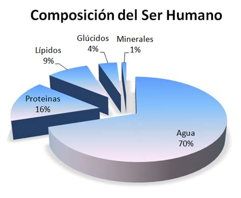 Composicion Quimica Del Cuerpo Humano Pdf Auto Guia