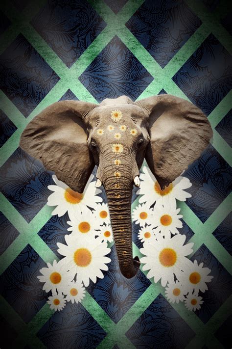 Elephant Wallpapers For Iphone 19 Wallpapers Adorable