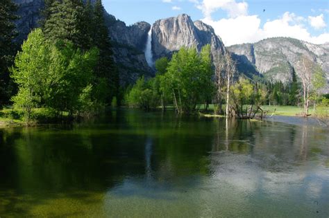 Green Blazing Yosemite National Park California