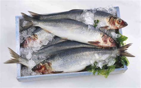 These fatty acids come in three forms. Top 8 Fish for Omega-3 Fatty Acids